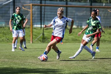 Bild 126 - wBJ Hamburger SV - VfL Wolfsburg : Ergebnis: 5:1
